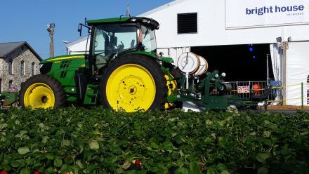 Tractor in strawberry field